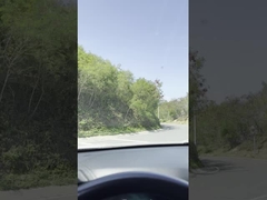 Rubber Bendable Back Wiper Blade Fashionable Rear Windscreen Wiper Replacement